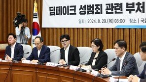 당정 “허위 영상물 처벌, 징역 최대 5년→7년 강화”