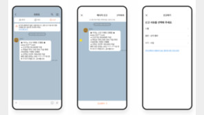 “카톡에서 본 딥페이크 범죄 신고하세요”…네이버에 이어 카카오도 신고 안내