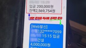 입금 문자 왔는데 돈은 없어…황당 ‘환불 사기’ 수법 (영상)