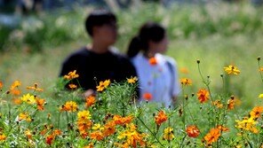 [날씨]전국 대부분 지역에 비…남부·제주 무더위 계속