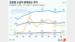 벤츠 화재에 얼어붙은 수입 전기차 시장…테슬라 18% ‘뚝’