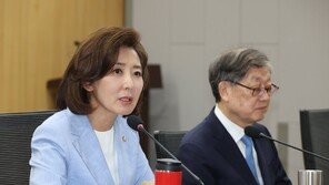 나경원 “한동훈 제3자 채상병 특검, 민주당에 빌미만 줘”