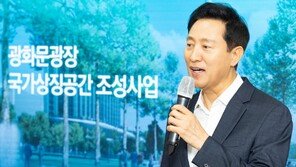 광화문광장 국가상징공간 조성, 시민 찬반 엇갈려