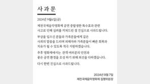 제천국제음악영화제 공연 중 폭죽이 관객 쪽으로 나가…시민 16명 부상