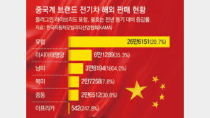 獨폭스바겐 무릎 꿇린 中전기차, 해외 34% 성장