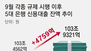 금융당국, 주담대 이어 신용대출 제한 검토