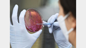 “일교차 큰 가을철, 식중독 발생에 주의하세요”