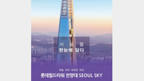 [고향사랑-송파구] “송파구에 기부하고, 롯데타워 전망대 갈까”