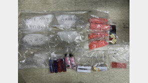 지난해 세관 마약밀수 적발 770㎏…필로폰·케타민·대마 순