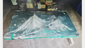 5월 사라진 광화문역 독도 조형물…“전수조사前 사장 지시로 철거”