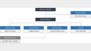 대우건설, 원자력 조직 강화… “신규 원전 수주 위한 밑그림”