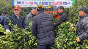 제주감귤, 3년 연속 최고 매출… 품질 관리 ‘초강수’ 통했다