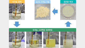 원자력연, 세계최고 수준 고순도 우라늄 추출 신기술 개발