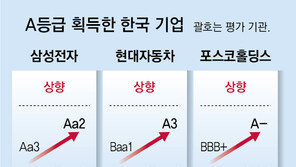 신용 A등급 韓기업 10곳 돌파 눈앞… “위기경영의 힘”