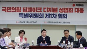 與 “딥페이크 성 착취물 소지·2차 가해 처벌 방안 마련”