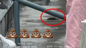 잠실 야구장 관중석에서 발견된 사람 대변…“사람 너무 많아 못 나갔다”