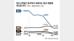 ‘철강 살리기’ 나선 中, 품질 끌어올리고 신규제철소 제한