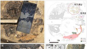 “제물로 바친 개”…경주 월성서 사로국 시기 취락 첫 확인