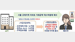 ‘본인 돈 0원으로 21억 서울 아파트 매수’ 수도권 위법의심 거래 397건 적발