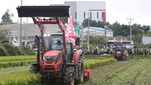 쌀값 하락에도 정부 “양곡·농안법 반대”…야당, 국감서 공세 예고