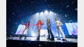 2NE1, 히트곡 다음에 히트곡…팬까지 울린 10년만의 공연