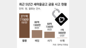 새마을금고, 횡령 등 금융사고 5년간 428억… 대출심사 직원은 6명서 3명으로 ‘반토막’