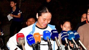 전국체전 등장해 환호받은 안세영, 끝내 눈물