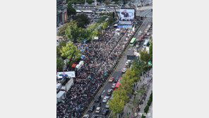 휴일 광화문서 또 집회… 나들이 시민 불편