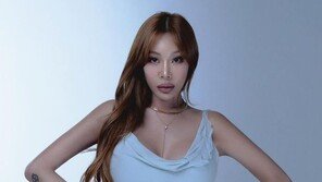 제시, 일행 ‘팬 폭행’ 의혹에 “가해자 초면…도의적 책임 느낀다”