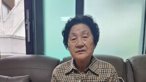 한강 옛집 280m 옆에 ‘소년이 온다’ 주인공 집