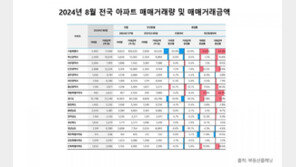 8월 서울 아파트 거래 30% 감소…“대출규제 영향”