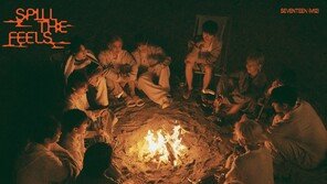 세븐틴, 컴백 당일 더블 밀리언셀러…음반·음원 동시 1위