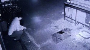 충남 천안서 길고양이 학대 남성 CCTV 포착…경찰에 고발