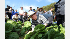 이재명, 재보선 끝나자마자 배추현장 찾아…‘대권행보’ 본격화