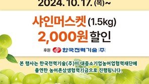 농협, 한국전력기술 함께 샤인머스캣 판매 나서