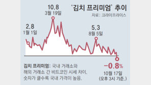 비트코인도 ‘코리아 디스카운트’… 국내서 더 싸게 거래