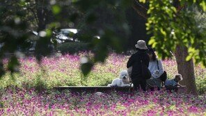 오늘 올 가을 들어 가장 춥다…강한 찬바람에 체감온도는 더 낮아