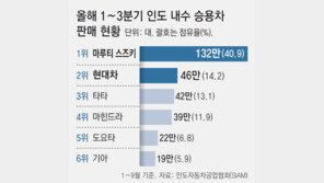 현대차, 印 현지 생산 첫 전기차 ‘크레타EV’ 내년 출시