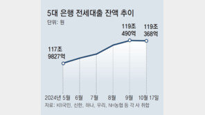 전세자금 대출때 집주인 보증금 반환 능력도 평가 추진