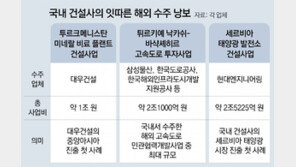 튀르키예 고속道 2조, 투르크 플랜트 1조… K건설 잇단 ‘잭팟’