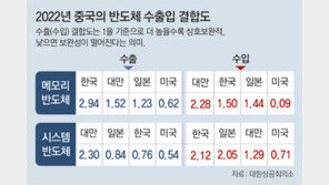 “韓, 中과 ‘반도체 상호 의존도’ 높아… 디커플링에 신중해야”