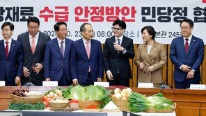 당정 “배추 계약재배물량 2.4만톤 공급…김장채소 40% 할인 지원”