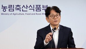 농식품부 “가을배추 11월 상순 4000원대…하순엔 3000원대로”