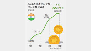 ‘美 공급망 재편 수혜’ 인도 주식에 올해 국내 자금 1.2조 몰려