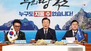 이재명 “독도의 날, 일방적 대일외교 돌아보는 계기 삼아야”