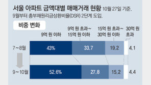 강력 대출규제에… 서울 9억∼30억 아파트 거래 대폭 줄었다