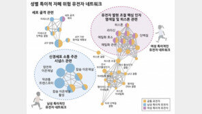 남성이 여성보다 ‘자폐 유병률’ 4배 높다