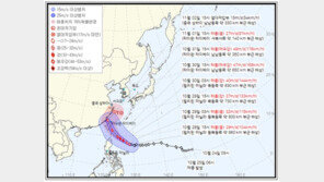 11월 태풍, 한반도行? “한반도 진입 전 열대저압부로 약화”