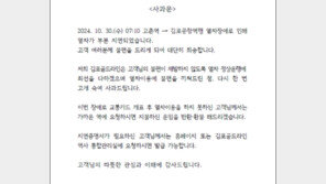 김포골드라인 열차 5분 중단 출근시간대 연쇄지연…승객 불편