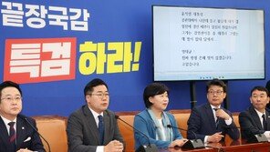 민주, 尹-명태균 통화 공개…“김영선 좀 해줘라 했다”